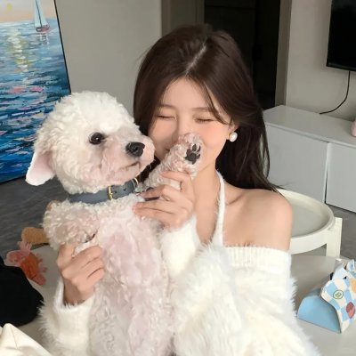 我的小狮王